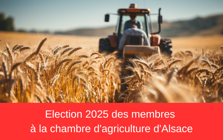 Election 2025 des membres à la chambre d'agriculture d'Alsace